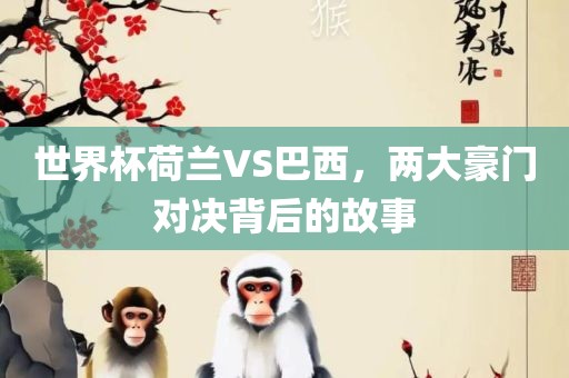 世界杯荷兰VS巴西，两大豪门对决背后的故事