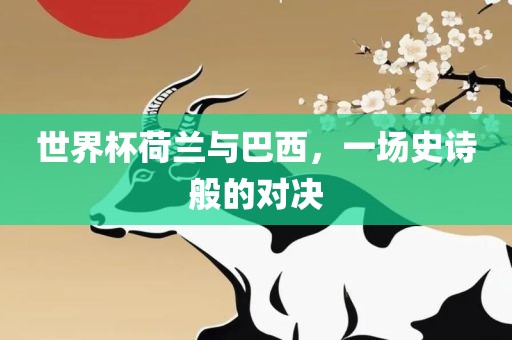 世界杯荷兰与巴西，一场史诗般的对决眉山市正发家政服务有限公司