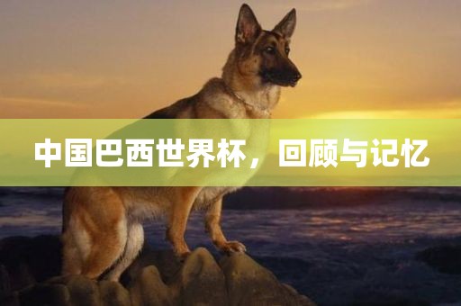 中国巴西世界杯，回顾与记忆眉山市正发家政服务有限公司