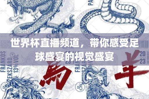 世界杯直播频道，带你感受足球盛宴的视觉盛宴