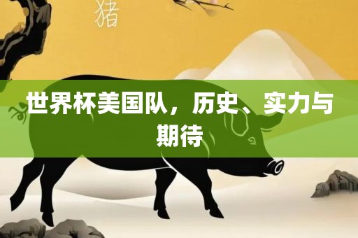 世界杯美国队，历史、实力与期待