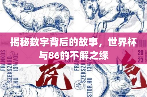 揭秘数字背后的故事，世界杯与86的不解之缘眉山市正发家政服务有限公司