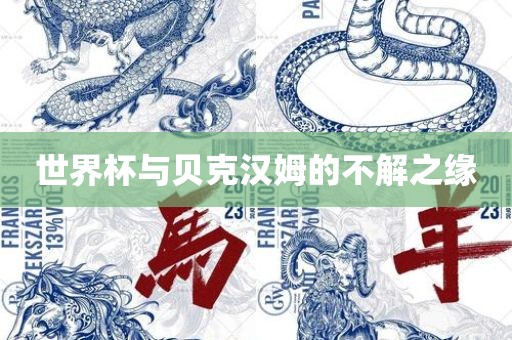 世界杯与贝克汉姆的不解之缘眉山市正发家政服务有限公司
