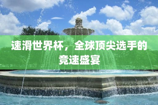 速滑世界杯，全球顶尖选手的竞速盛宴眉山市正发家政服务有限公司