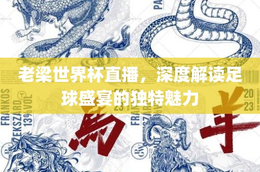 老梁世界杯眉山市正发家政服务有限公司直播，深度解读足球盛宴的独特魅力