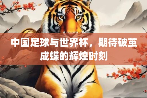 中国足球与世界杯，期待破茧成蝶的辉煌时刻