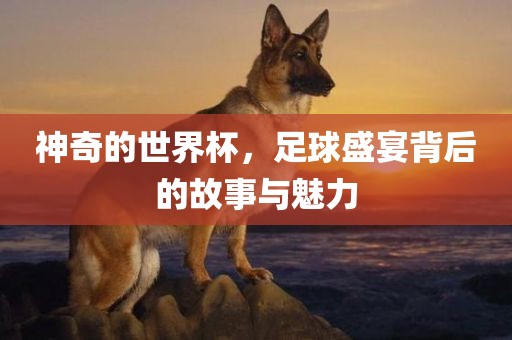 神奇的世界杯，足球盛宴背后的故眉山市正发家政服务有限公司事与魅力