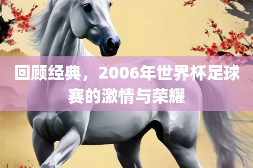 回顾经典，2006年世界杯足球赛的激情与荣耀眉山市正发家政服务有限公司