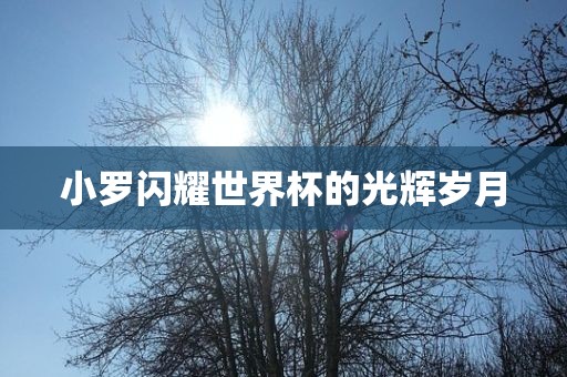 小罗闪耀世界杯的光辉岁月眉山市正发家政服务有限公司
