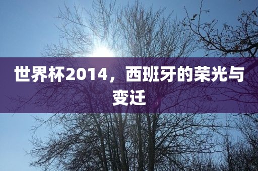 世界杯2014，西班牙的荣光与变迁