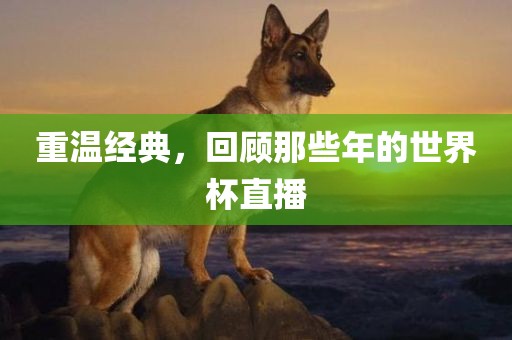 重温经典，回顾那些年的世界杯直播眉山市正发家政服务有限公司