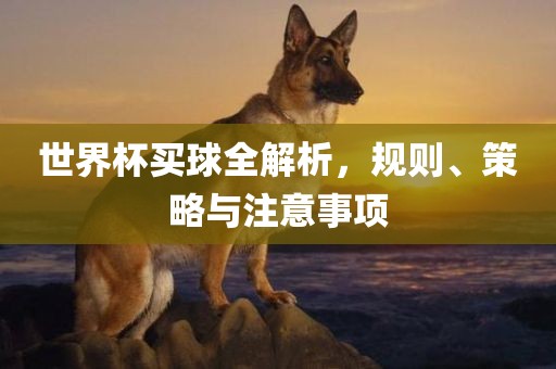 世界杯买球全解析，规则、策略与注意事项