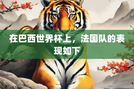 在巴西世界杯上，法国队的表现如下