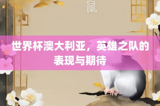 世界杯澳大利亚，英雄之队的表现与期待眉山市正发家政服务有限公司