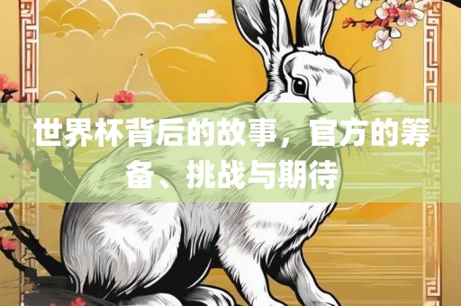世界杯背后的故事，官方的筹备、挑战与期待