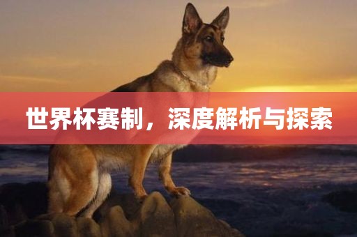 世界杯赛制，深度解析与探索