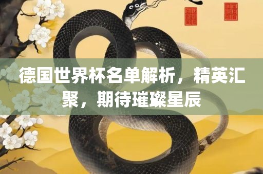 德国世界杯名单解析，精英汇聚，期待璀璨星辰