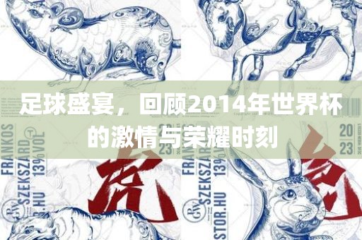 足球盛宴，回顾2014年世界杯的激情与荣耀时刻眉山市正发家政服务有限公司