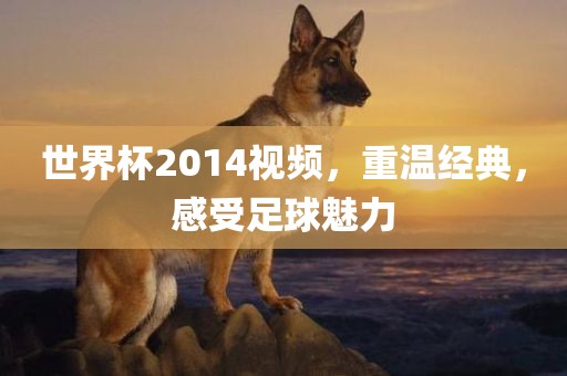 世界杯2014视频，重温经典，感受足球魅力