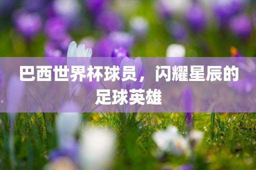 hualu 第3页