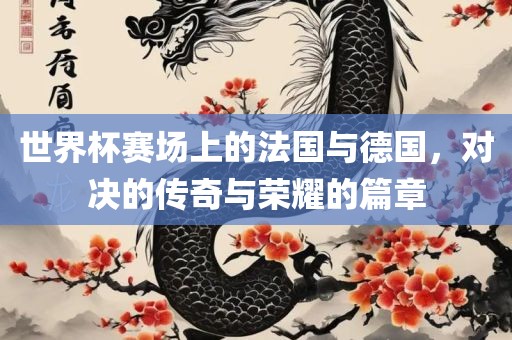 世界杯赛场上的法国与德国，对决的传奇与荣耀的篇章眉山市正发家政服务有限公司
