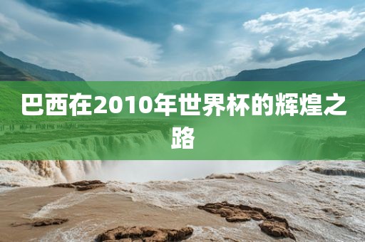 巴西在2010年世界杯的辉煌之路