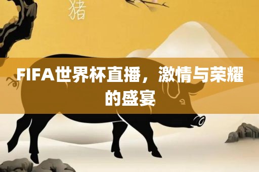 FIFA世界杯直播，激情与荣耀的盛宴