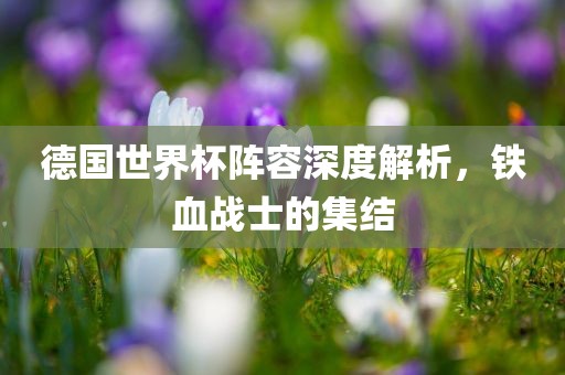 德国世界杯阵容深度解析，铁血战士的集结