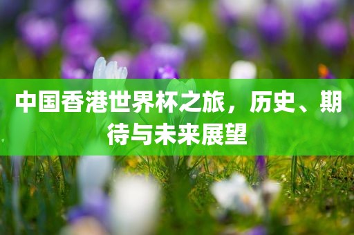 中国香港世界杯之旅，历史、期待与未来展望眉山市正发家政服务有限公司