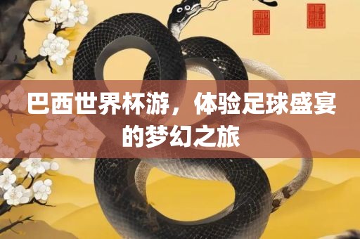 巴西世界杯游，体验足球盛宴的梦幻之旅眉山市正发家政服务有限公司