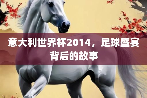 意大利世界杯2014，足球盛宴背后的故事