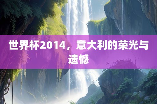 世界杯2014，意大利的荣光与遗憾
