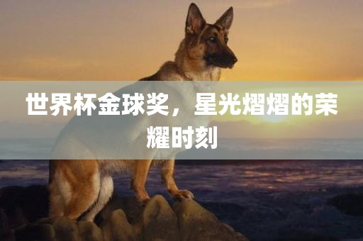 世界杯金球奖，星光熠熠的荣耀时刻
