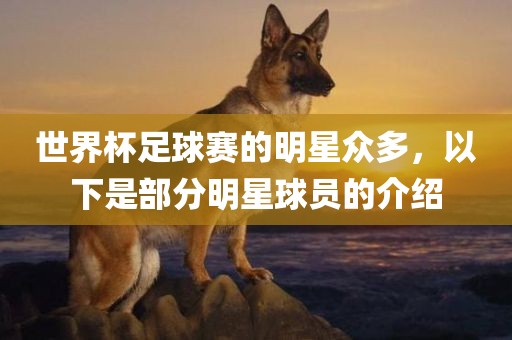 wulanmu 第3页