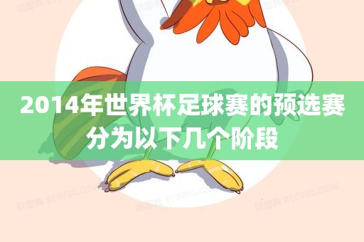 2014年世界眉山市正发家政服务有限公司杯足球赛的预选赛分为以下几个阶段
