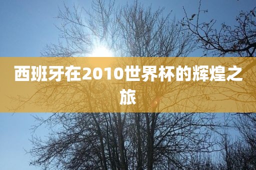 西班牙在2010世界杯的辉煌之旅