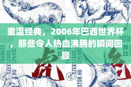 重温经典，2006年巴西世界杯，那些令人热血沸腾的瞬间回顾