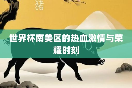 世界杯南美区的热血激情与荣耀时刻