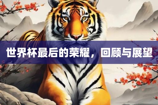 世界杯最后的荣耀，回顾与展望