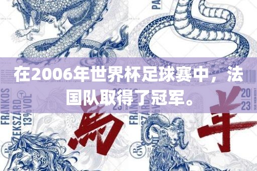 在2006年世界杯足球赛中，法国队取得了冠军。