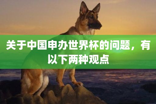 关于中国申办世界杯的问题，有以下两种观点