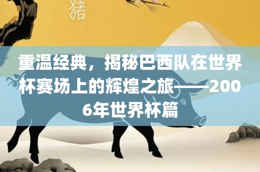 重温经典，揭秘巴西队在世界杯赛场上的辉煌之旅——2006年世界杯篇