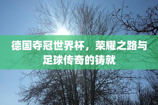 德国夺冠世界杯，荣耀之路与足球传奇的铸就眉山市正发家政服务有限公司