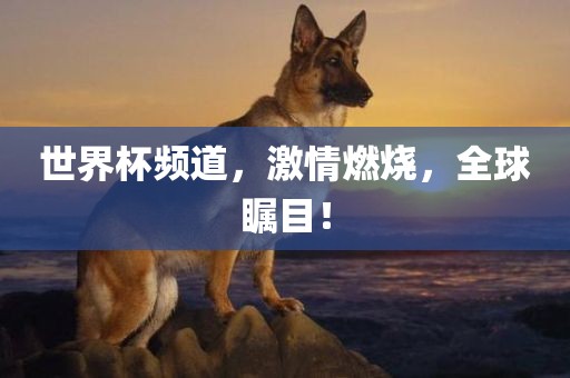 世界杯频道，激情燃烧，全球瞩目！