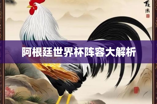 阿根廷世界杯阵容大解析