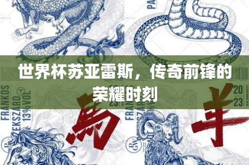 世界杯苏亚雷斯，传奇前锋的荣耀时刻眉山市正发家政服务有限公司