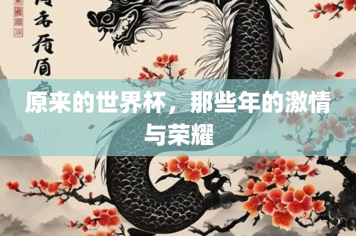 原来的世界杯，那些年的激情与荣耀眉山市正发家政服务有限公司