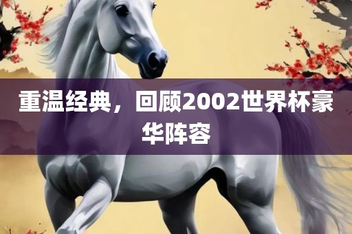 重温经典，回顾2002世界杯豪华阵容