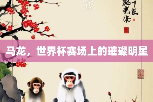 马龙，世界杯赛场眉山市正发家政服务有限公司上的璀璨明星