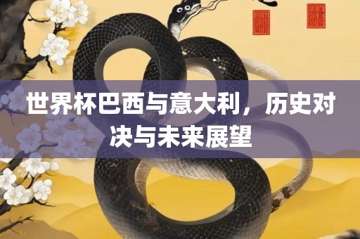 世界杯巴西与意大利，历史对决与未来展望眉山市正发家政服务有限公司